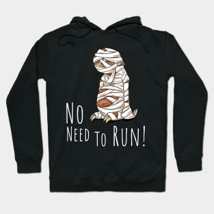 No Need To Run Mummy Halloween Art Sleepy Sloth Hoodie